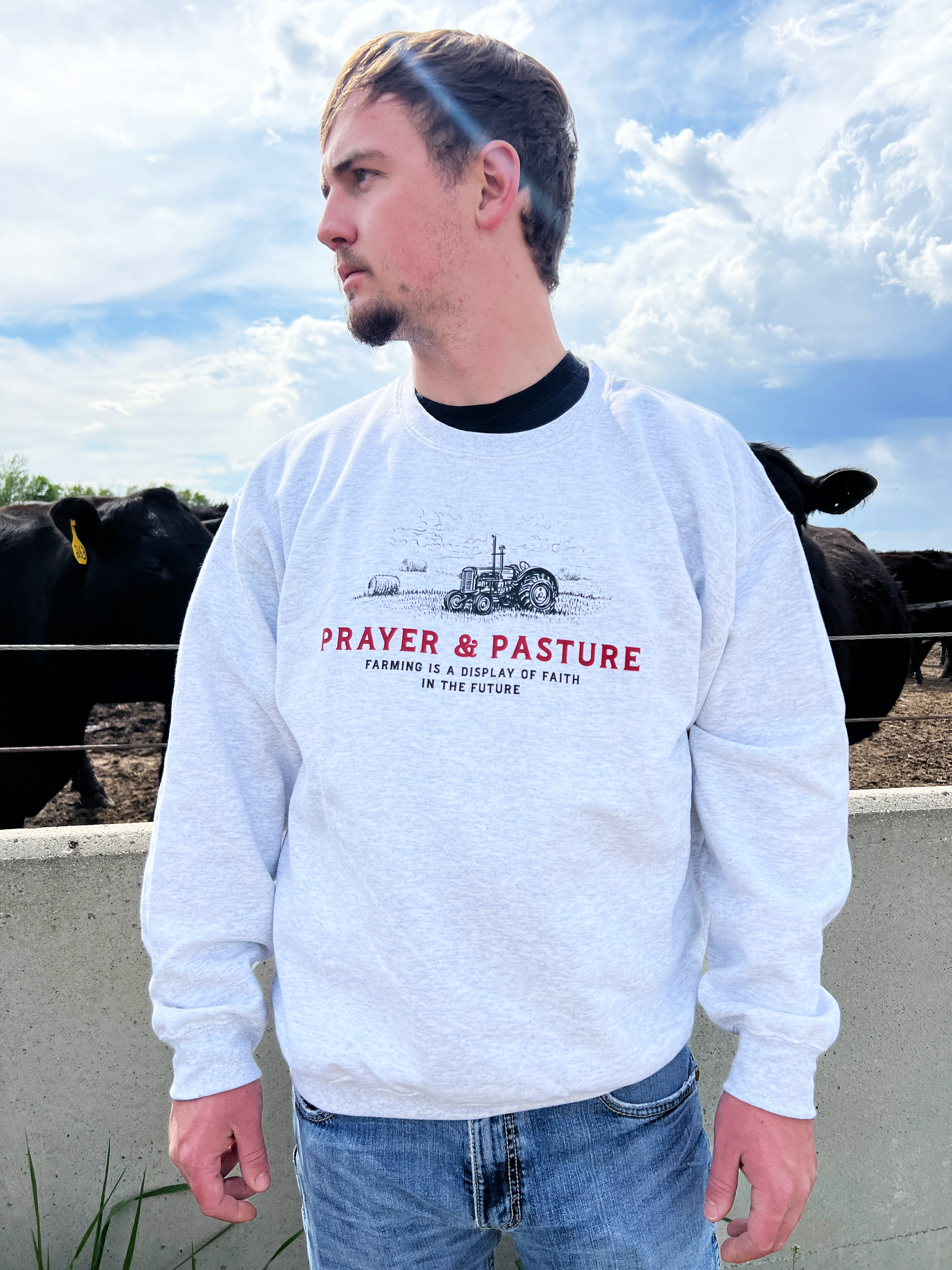 Prayer & Pasture Crewneck Sweatshirt – Livin' Tees Co. Prayer & Pasture Crewneck Sweatshirt – Livin' Tees Co.